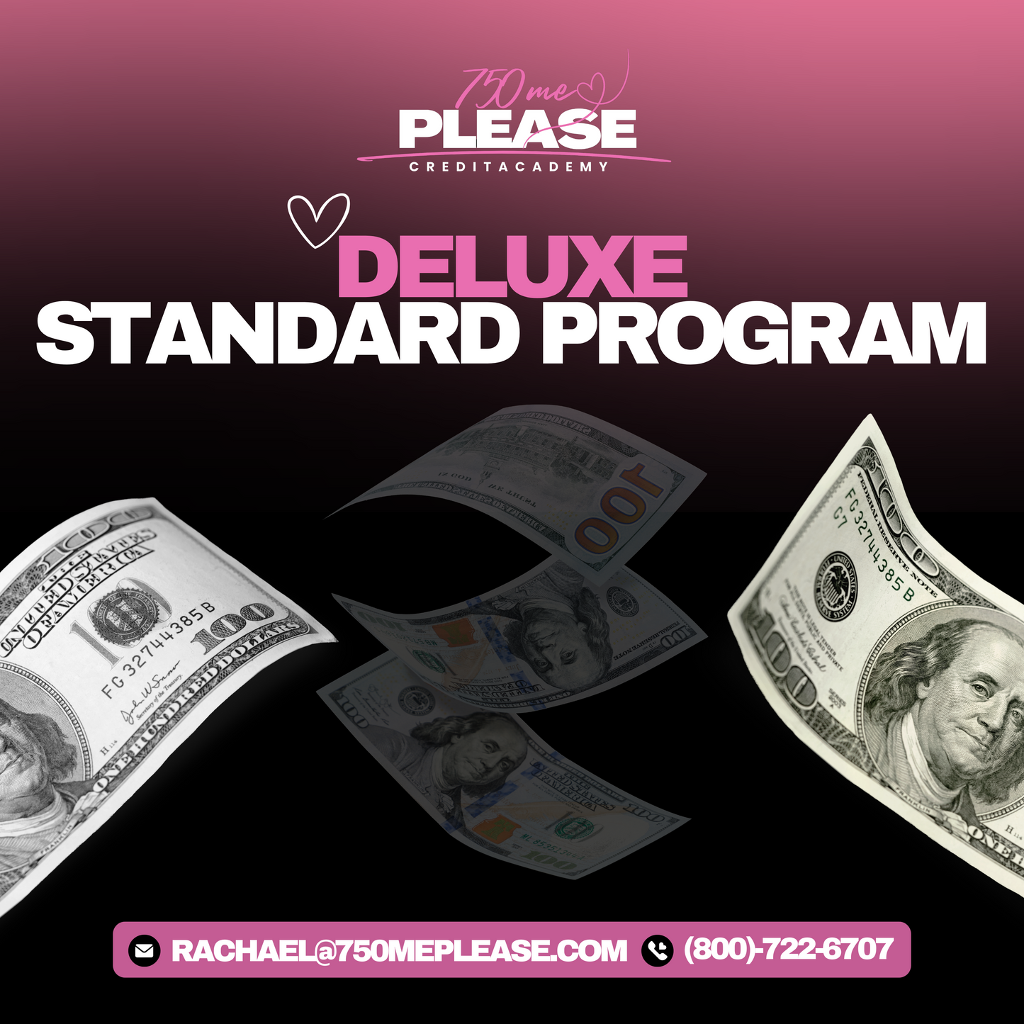 Deluxe Standard Program