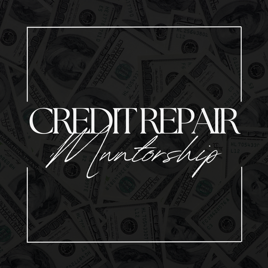 Credit Repair Mentorship Program